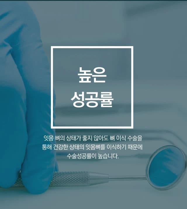 높은 성공률